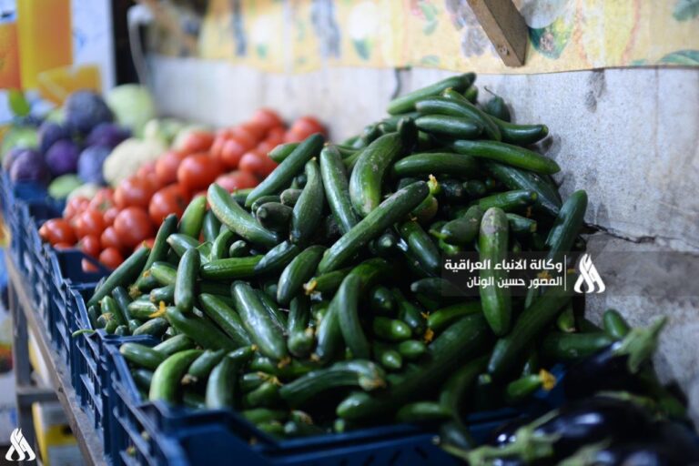 أصياغة عنوان واحد: "اسعار الخضر واللحوم شهدت استقرارا خلال شهر رمضان"