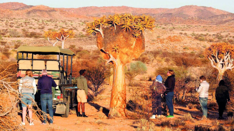 إطلالة على «نهاية العالم».. لوحة ملونة بالسحر و«الخمسة الكبار» إطلالة على «نهاية العالم».. لوحة ملونة بالسحر و«الخمسة الكبار»