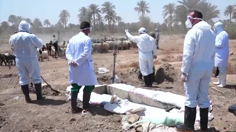 قناة الرشيد الفضائية