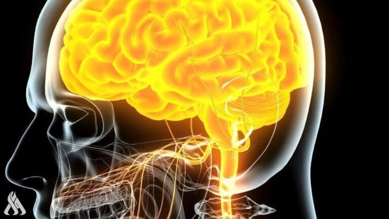 دراسة تكشف تأثيرًا إيجابيًا للتكنولوجيا على صحة الدماغ » وكالة الأنباء العراقية