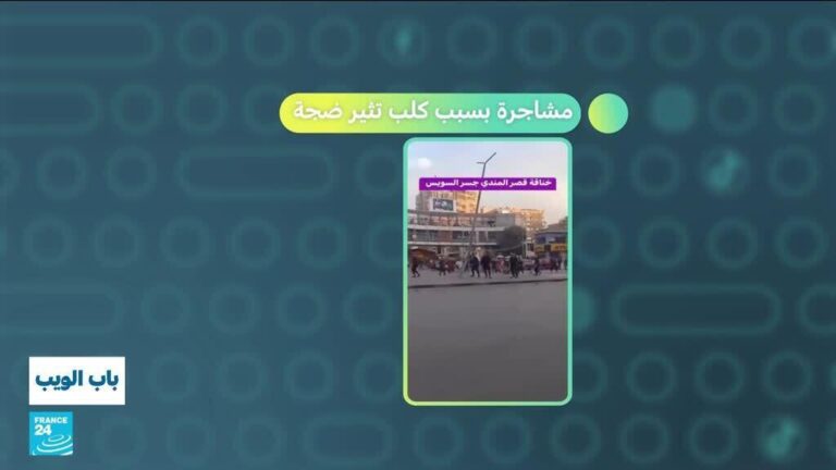 مشاجرة بسبب كلب تثير ضجة في مصر