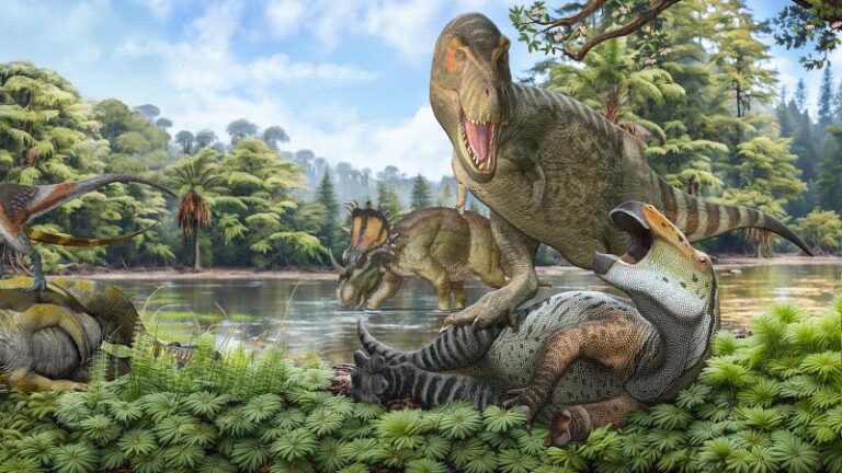 تم عبر أجداد T. Rex من آسيا إلى أمريكا الشمالية عبر Band Bridge قبل 70 مليون عام ،