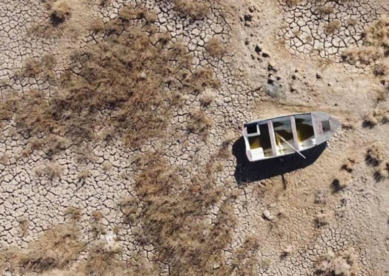 كارثة مؤجلة والمستقبل أسوأ » وكالة بغداد اليوم الاخبارية كارثة مؤجلة والمستقبل أسوأ » وكالة بغداد اليوم الاخبارية