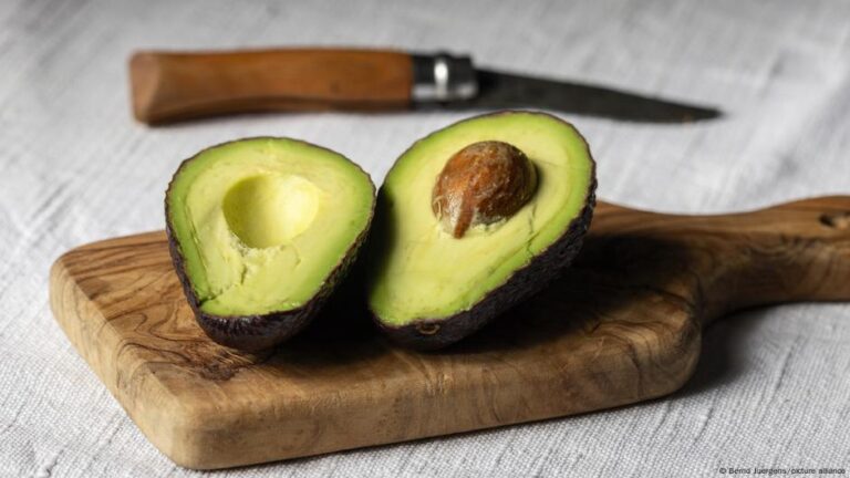 للحوامل.. كيف تساعد الأفوكادو في صحة الجنين ؟ – DW – 2025/5/19