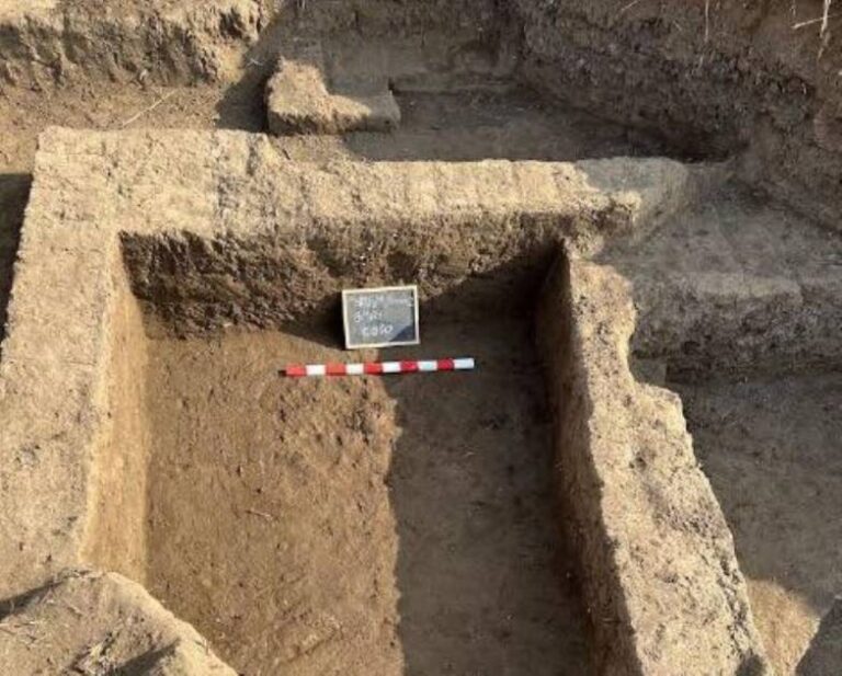 آثار مكتشفة تبوح بأسرار "إيمت" في مصر