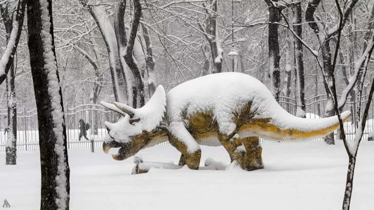 اكتشاف مثير.. 158 ديناصورًا شمالي الصين