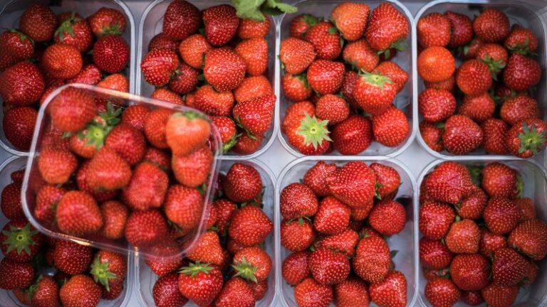 السبانخ ، الفراولة أعلى قائمة جديدة "Dirty Dozen" من المنتجات المحملة للمبيدات الحشرية