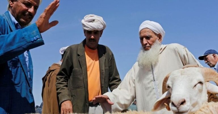 إلغاء شعيرة الأضحية في المغرب.. ترحيب شعبي رغم تأثيرات اقتصادية