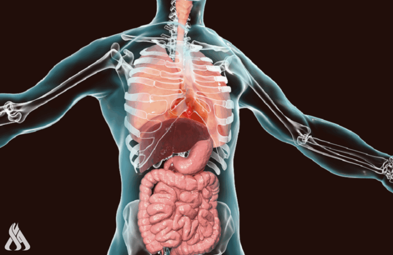 تعديل جينوم الخلايا الجذعية يسرع شيخوختها » وكالة الأنباء العراقية