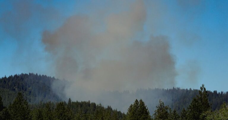 ضحايا ومصابون في هجوم على عدد من رجال الإطفاء في إيداهو ضحايا ومصابون في إطلاق نار جماعي بولاية بنسلفانيا الأميركية