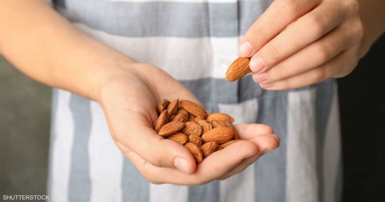 فوائد اللوز.. “درع طبيعي” ضد السرطان والسكري والشيخوخة فوائد اللوز.. "درع طبيعي" ضد السرطان والسكري والشيخوخة