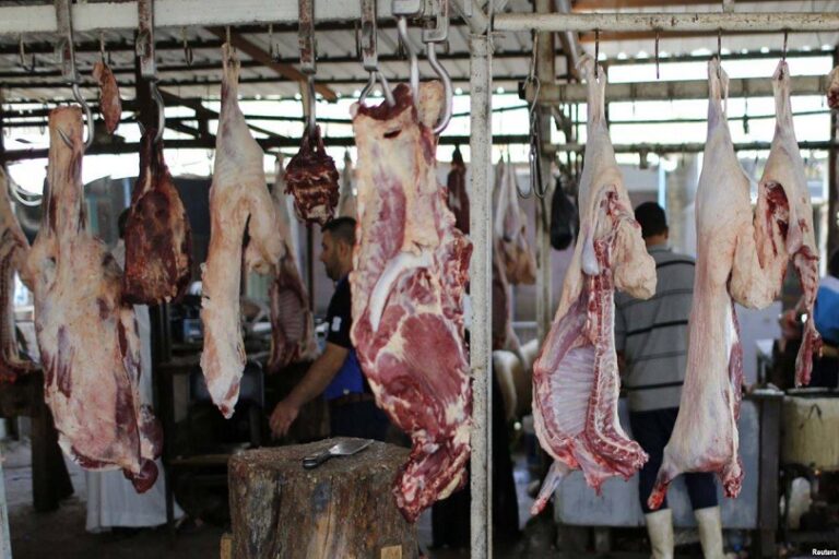 قلق بسبب مجازر اللحوم في الديوانية.. وبلدية المحافظة توضح » وكالة بغداد اليوم الاخبارية