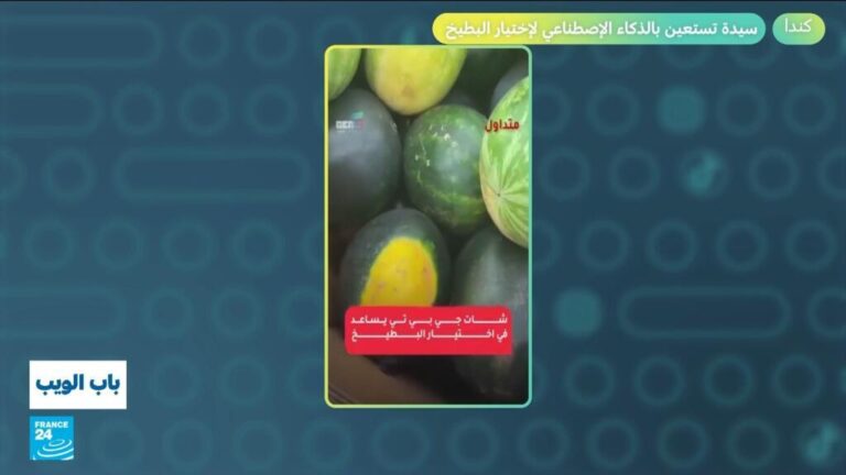 كندا.. سيدة تستعين بالذكاء الاصطناعي لاختيار البطيخ!