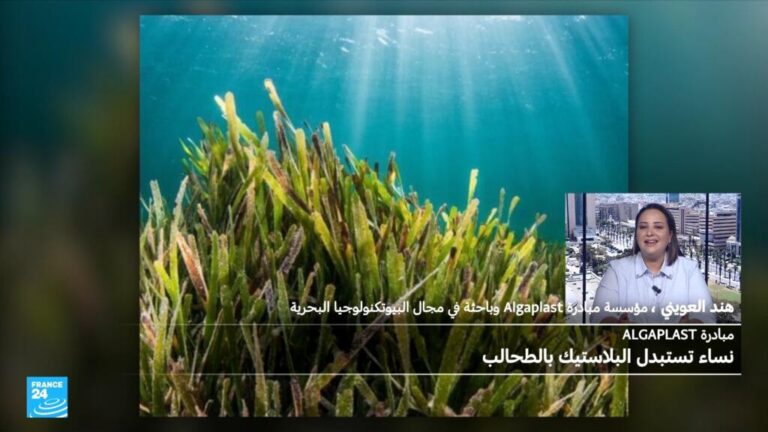 كيف حولت باحثة تونسية الطحالب إلى بديل للبلاستيك ؟