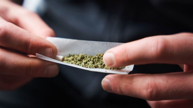 ووجدت دراسة كبيرة أن استخدام الماريجوانا يزيد بشكل كبير من خطر الموت من النوبات القلبية والسكتة الدماغية. ووجدت دراسة كبيرة أن استخدام الماريجوانا يزيد بشكل كبير من خطر الموت من النوبات القلبية والسكتة الدماغية.