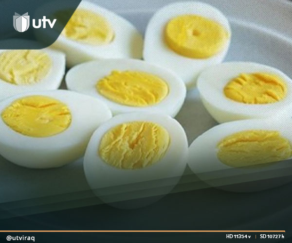 UTV العراق – دراسة: من الخطأ الاعتقاد أن تناول البيض يرفع الكوليسترول UTV العراق - دراسة: من الخطأ الاعتقاد أن تناول البيض يرفع الكوليسترول