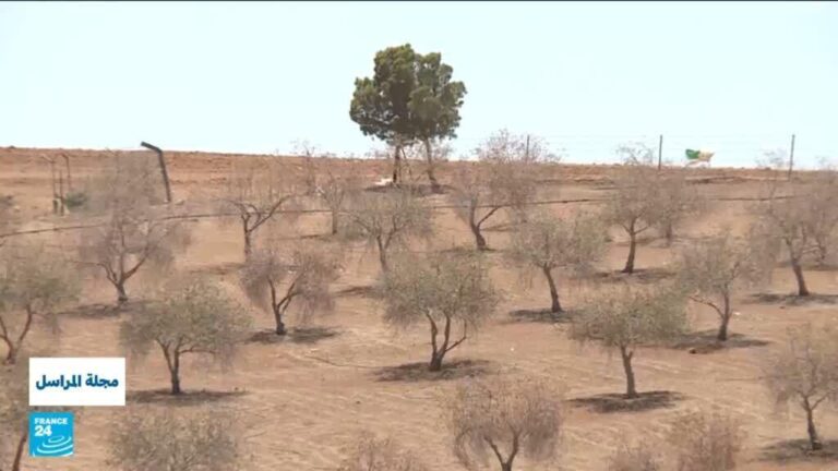 الجفاف .. خطر قادم أم أزمة نعيشها فعلا؟