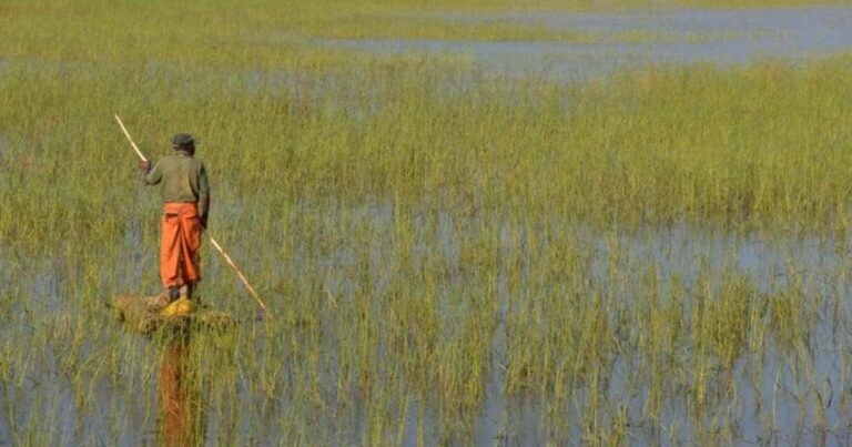 مستقبل الغذاء.. هل تختفي الزراعة التقليدية؟