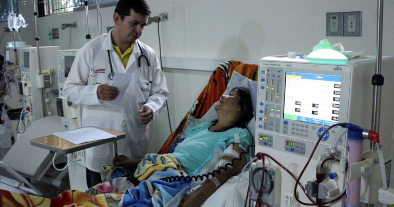 علماء يستنسخون خنازير معدلة وراثياً لاستخدامها في زراعة الأعضاء