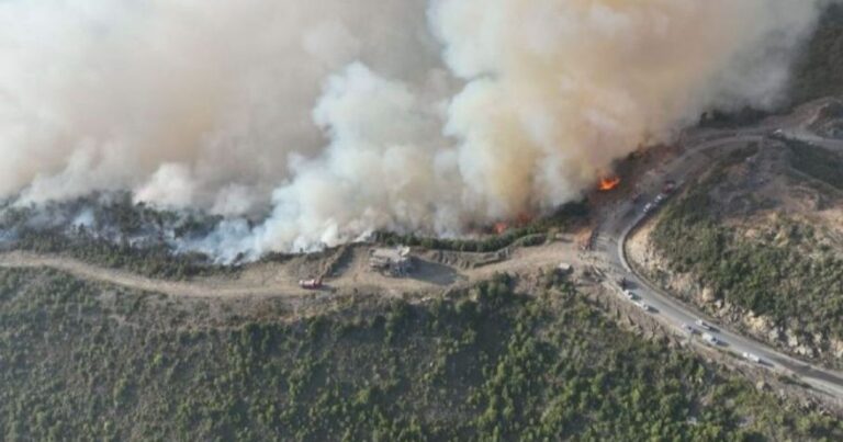 سوريا: انفجار مخلفات حرب يعرقل إخماد حرائق غابات بريف اللاذقية