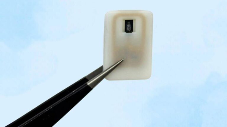 شريحة تحمي مرضى السكري من الانخفاض المفاجئ شريحة تحمي مرضى السكري من الانخفاض المفاجئ