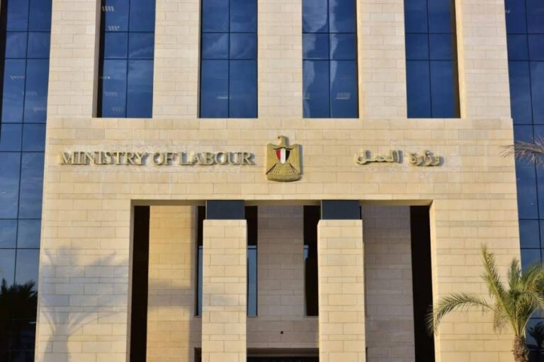 ضبط 276 عاملاً أجنبياً بدون ترخيص بمصر ضبط 276 عاملاً أجنبياً بدون ترخيص بمصر