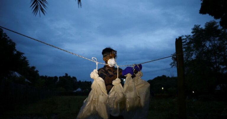 علماء ينجحون في تطوير أول لقاح ضد فيروس “نيباه” القاتل فيروس "نيباه" القاتل يعود مجدداً.. والهند تعلن التأهب