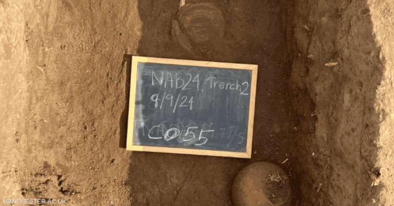 مصر.. علماء يعثرون على مدينة مفقودة في دلتا مصر.. علماء يعثرون على مدينة مفقودة في دلتا