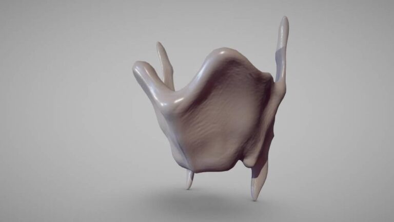 نجاح طباعة غضروف درقي ثلاثي الأبعاد نجاح طباعة غضروف درقي ثلاثي الأبعاد