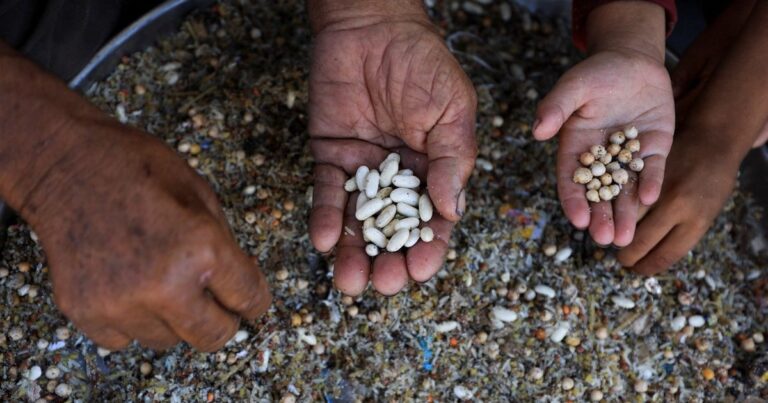 3 طرق محفوفة بالفُتات.. رحلة أسرة للحصول على طعام في غزة موت يتعقب الجوعى.. شهادات من غزة عن رحلة "مساعدات تحت الرصاص"