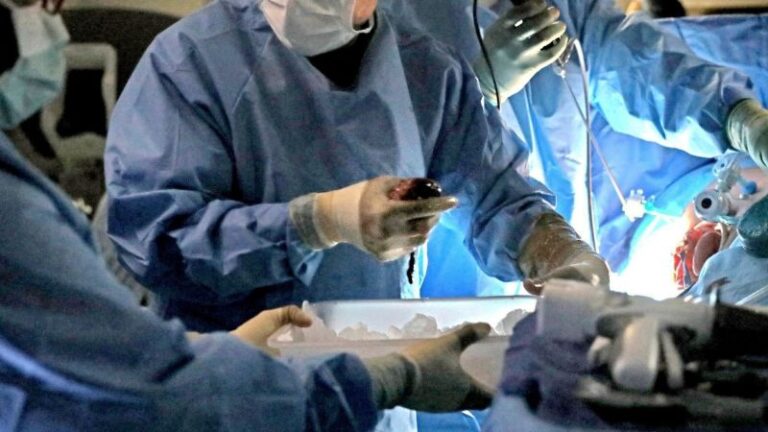 HHS: كيف نصلح نظام زرع الأعضاء الذي خان أمريكا