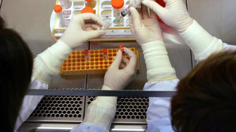 إنجاز علمي غير مسبوق: باحثون إسرائيليون ينجحون في إنتاج كلية بشرية مصغرة داخل المختبر