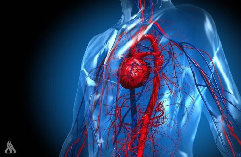 ابتكار رقعة ثلاثية الأبعاد لعلاج القلب » وكالة الانباء العراقية (واع) ابتكار رقعة ثلاثية الأبعاد لعلاج القلب