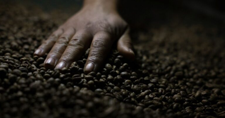 أسعار البن وعصير البرتقال في أميركا مهددة بالارتفاع عند تطبيق رسوم البرازيل