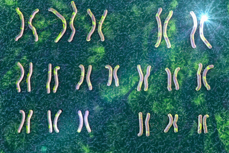 الذكاء الاصطناعي يكشف عن دور "صانع المفاتيح" الجينية في جسمك | علوم