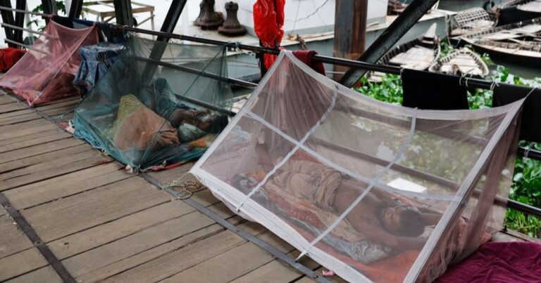 بنجلاديش تسجل معدل وفيات قياسياً في أسرع انتشار لحمى الضنك