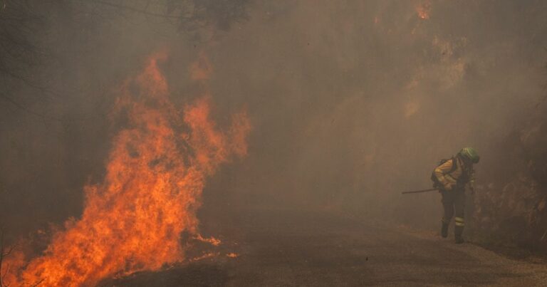 حرائق الغابات تأتي على نحو مليون هكتار في الاتحاد الأوروبي إجلاء المئات في شمال غرب تركيا مع استمرار جهود مكافحة حرائق غابات
