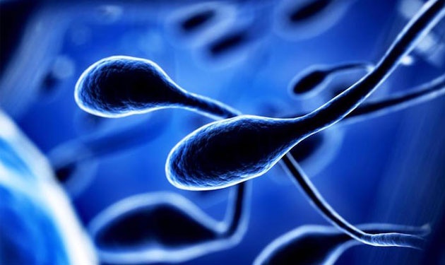 خصوبة الرجال.. تراجع كبير ومتسارع بسبب البلاستيك » وكالة بغداد اليوم الاخبارية خصوبة الرجال.. تراجع كبير ومتسارع بسبب البلاستيك » وكالة بغداد اليوم الاخبارية