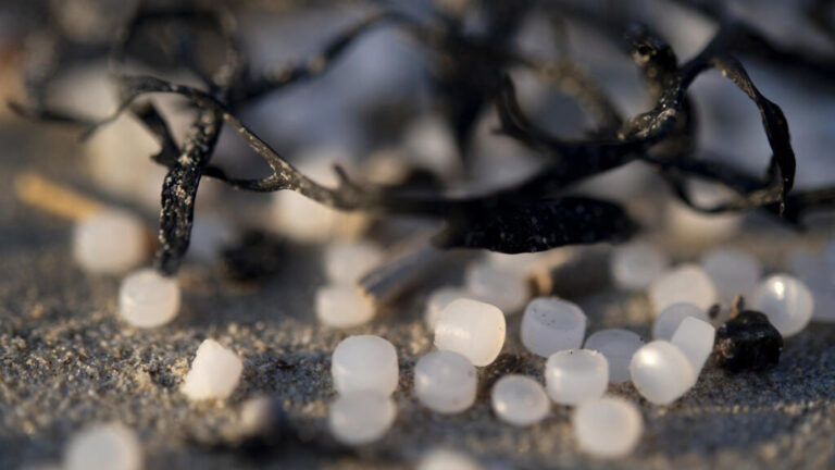 "دموع حوريات البحر": كيف لحبيبات بلاستيكية صغيرة أن تغزو البيئة؟