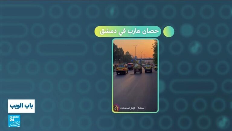 سوريا: حصان هارب في شوارع دمشق سوريا: حصان هارب في شوارع دمشق