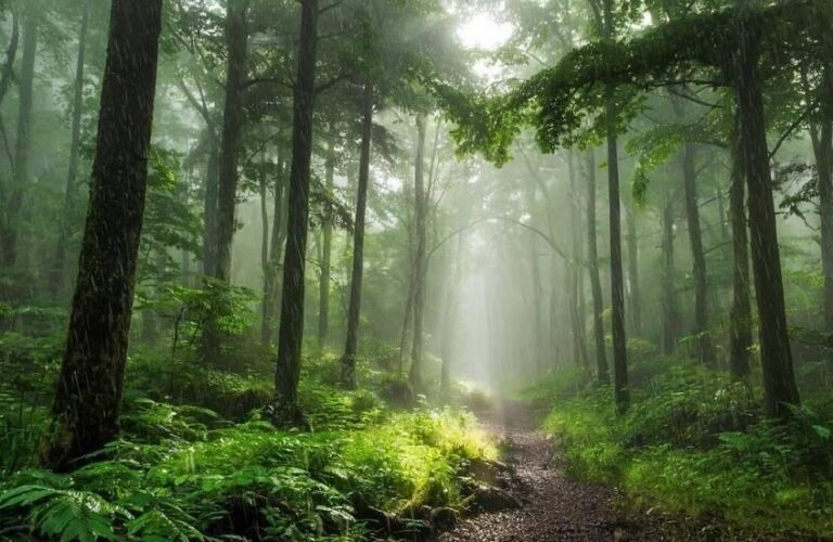 «سولاستالجيا».. اضطراب نفسي يرتبط بالتغيرات البيئية «سولاستالجيا».. اضطراب نفسي يرتبط بالتغيرات البيئية