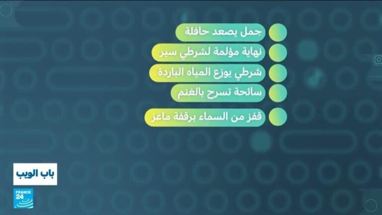 عمان .. جمل يصعد حافلة عمان .. جمل يصعد حافلة