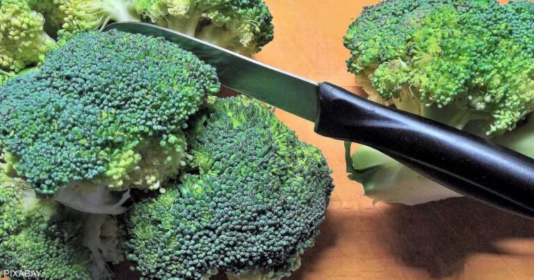 فوائد مذهلة لتناول البروكلي بانتظام.. تعرف عليها