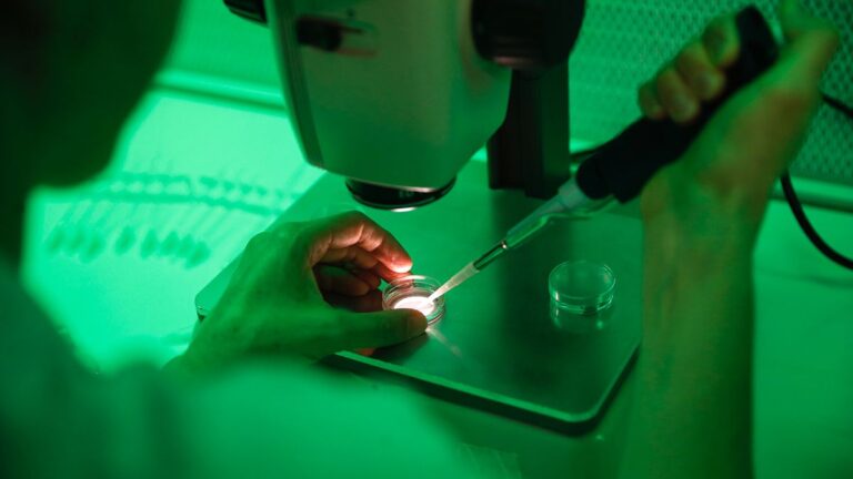 قد تساعد في تحسين علاجات العقم.. علماء يلتقطون أول لقطات لعملية زرع جنين بشري في الرحم قد تساعد في تحسين علاجات العقم.. علماء يلتقطون أول لقطات لعملية زرع جنين بشري في الرحم