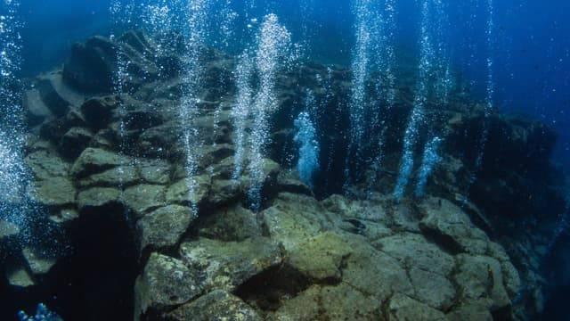 كائنات حية تتغذى على «الزلازل» في أعماق الأرض كائنات حية تتغذى على «الزلازل» في أعماق الأرض