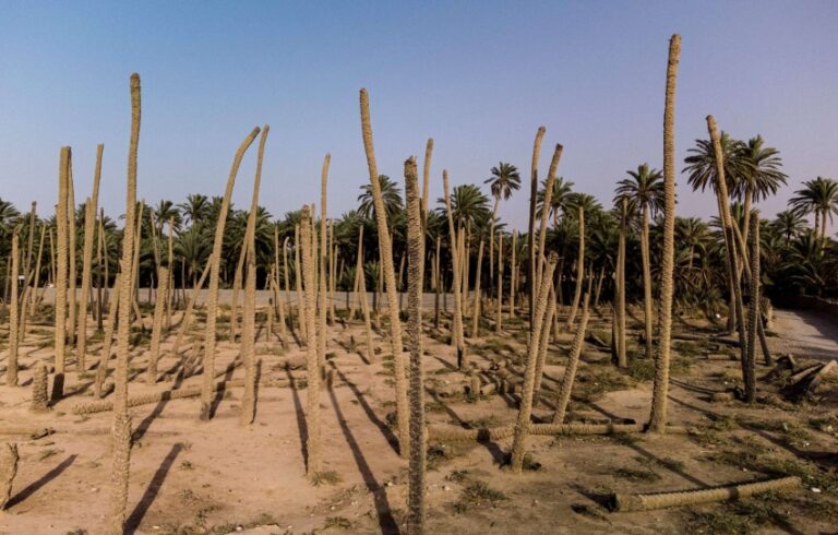 400 ألف فدان + 71% من الأراضي + 140 ألف هكتار.. معادلة التصحر القاتلة للعراق » وكالة بغداد اليوم الاخبارية 400 ألف فدان + 71% من الأراضي + 140 ألف هكتار.. معادلة التصحر القاتلة للعراق » وكالة بغداد اليوم الاخبارية