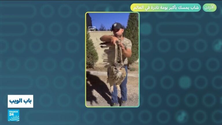 أكبر بومة نادرة في العالم في الأردن.. وطريق جبلي غريب في الصين! أكبر بومة نادرة في العالم في الأردن.. وطريق جبلي غريب في الصين!