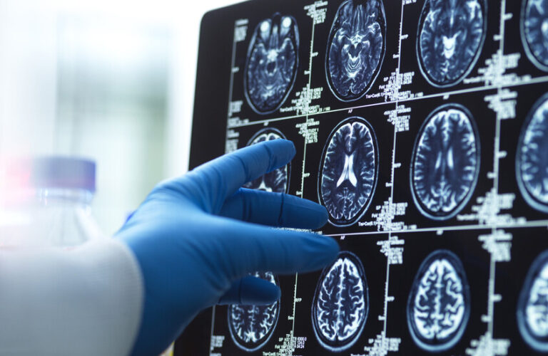 قناة الرشيد الفضائية