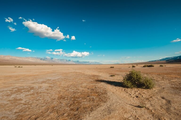 التصحر يبتلع خصوبة الأرض والسماء تختنق بالغبار.. أين الحلول؟ » وكالة بغداد اليوم الاخبارية