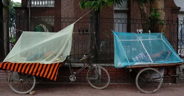 بنجلاديش تسجل أعلى حصيلة يومية من وفيات وإصابات حمى الضنك